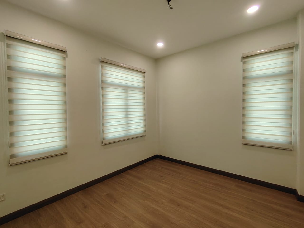 ZEBRA BLINDS
